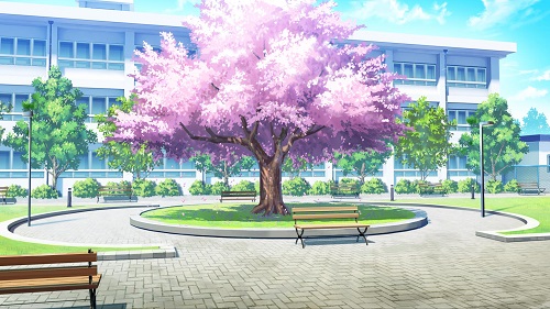 Cherry Blossom School